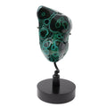 Chrysocolla Malachite Polished Freeform on Custom Black Spinner Stand