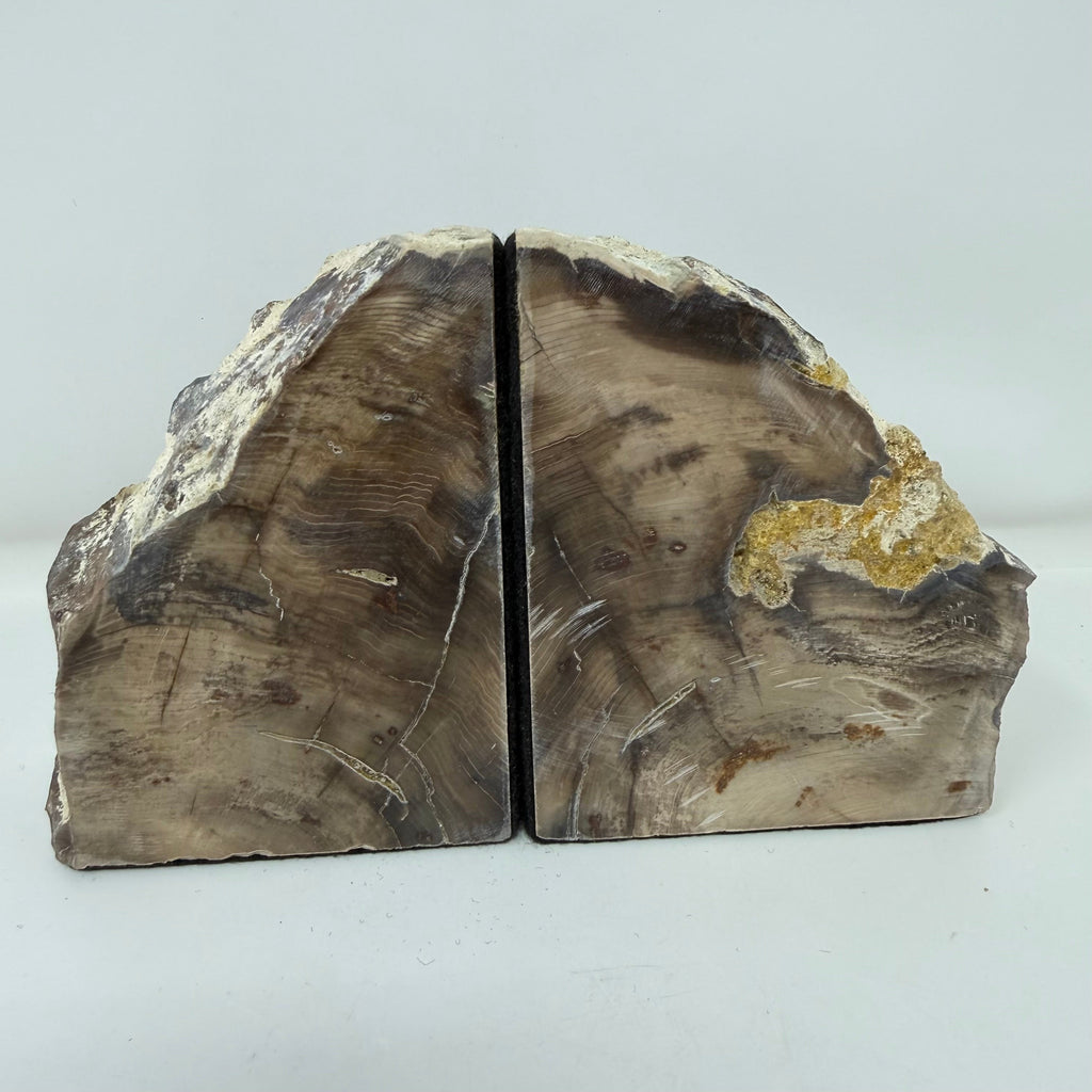 Petrified Wood Saddle Mountain Sequoia Bookends