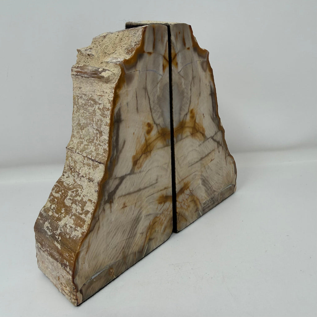 Petrified Wood Saddle Mountain Sequoia Bookends
