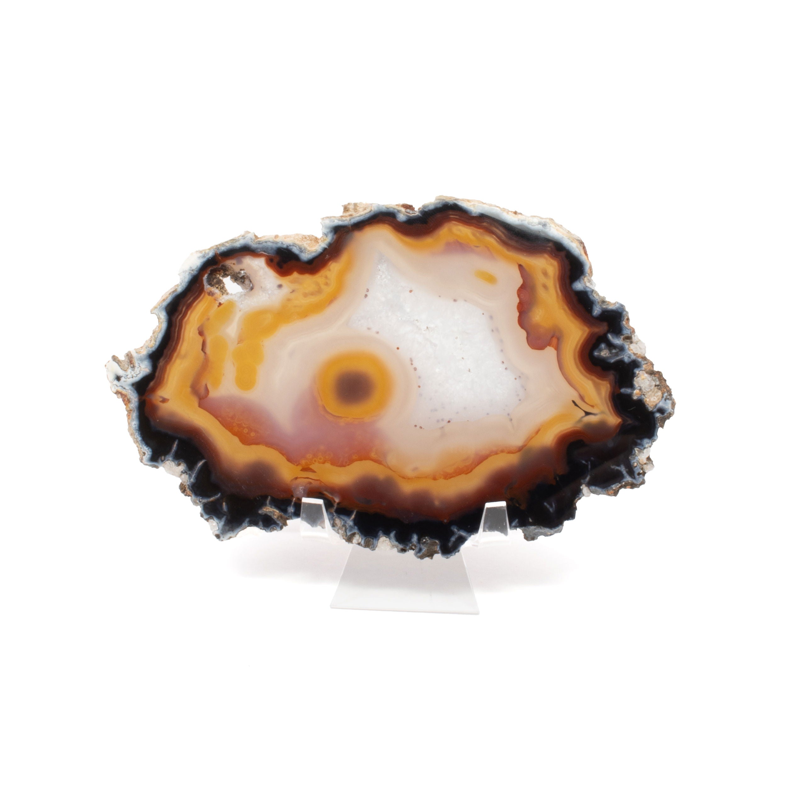 Agate Slice with Concentric Bands of White, Orange, Brown, and Charcoal on an Acrylic Stand