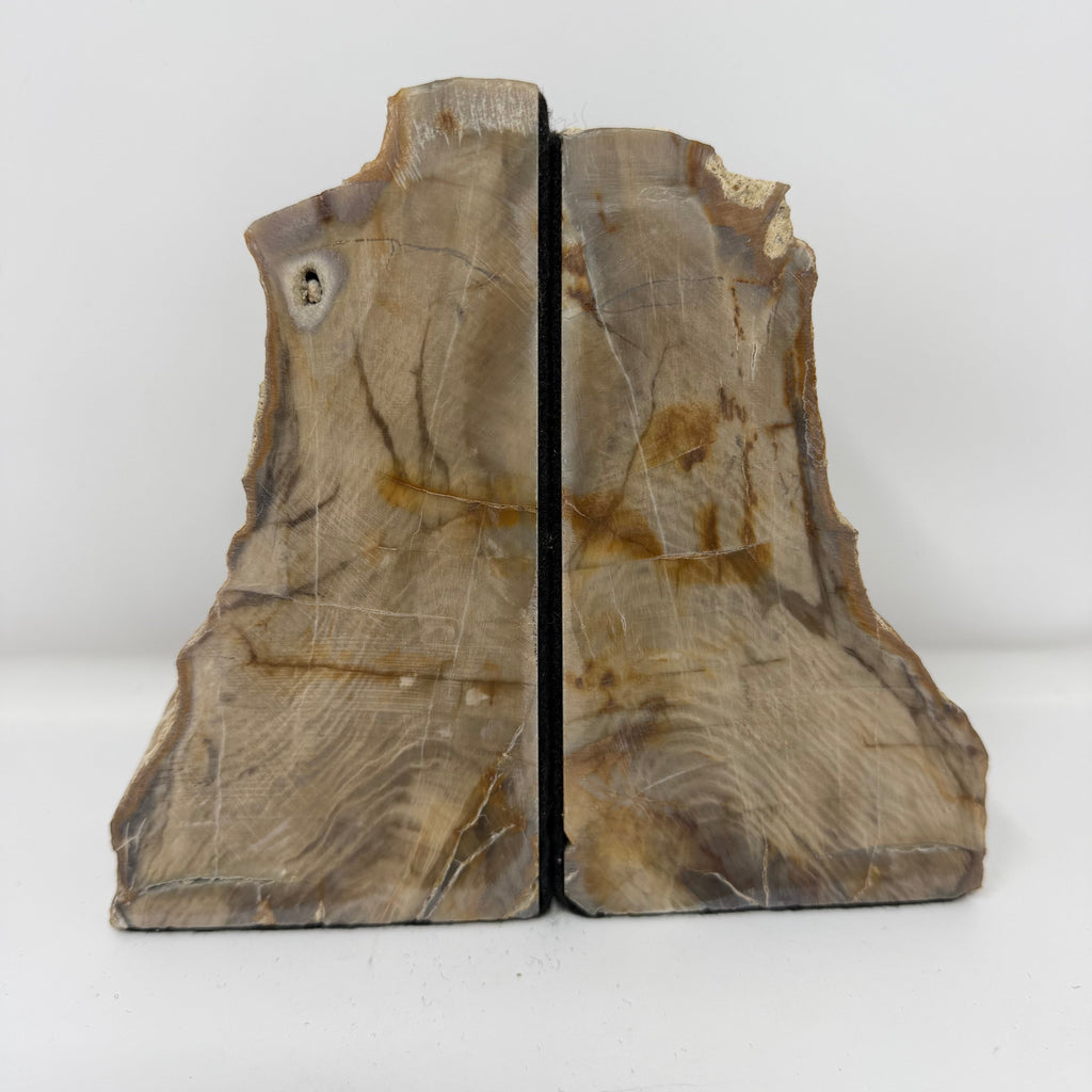 Petrified Wood Saddle Mountain Sequoia Bookends