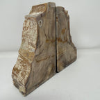Petrified Wood Saddle Mountain Sequoia Bookends