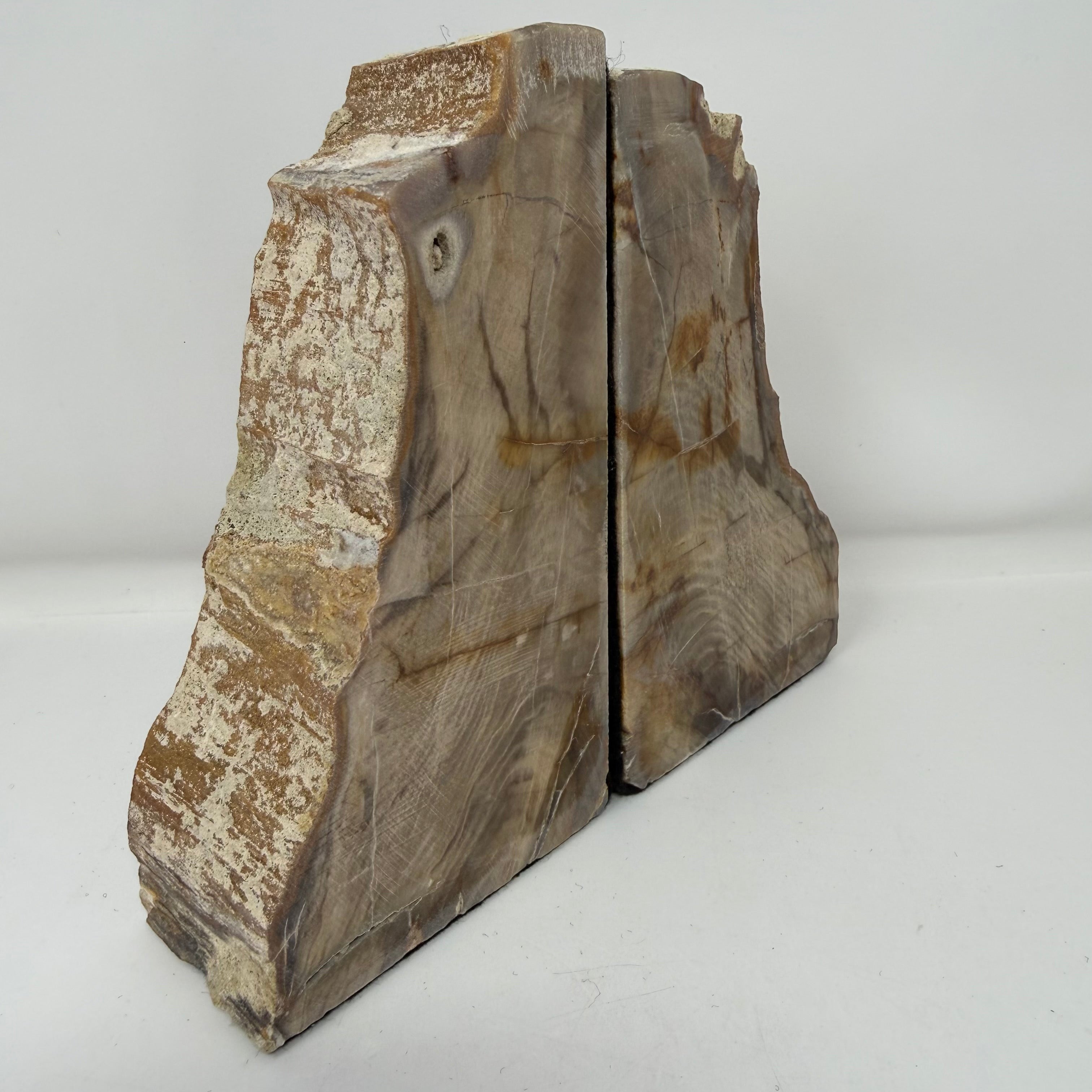Petrified Wood Saddle Mountain Sequoia Bookends