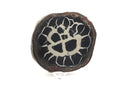 Septarian Nodule Slice with Prominent White Branching Pattern on a Lucite Stand