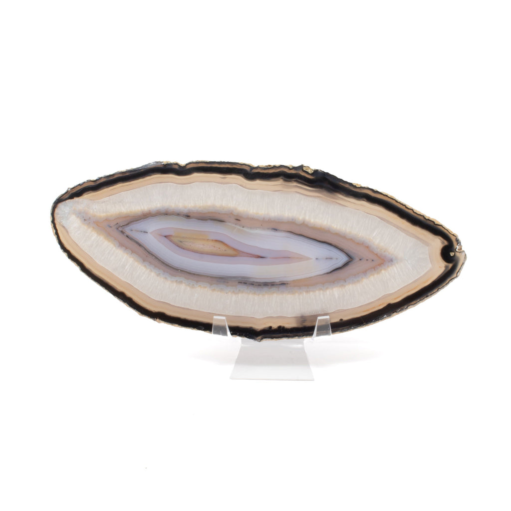 Agate Slice with Concentric Bands of Black, Tan, and Lavender on a Lucite Stand