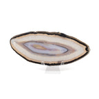 Agate Slice with Concentric Bands of Black, Tan, and Lavender on a Lucite Stand