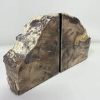 Petrified Wood Saddle Mountain Sequoia Bookends