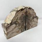Petrified Wood Saddle Mountain Sequoia Bookends