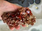 Vanadinite Cluster from Morocco