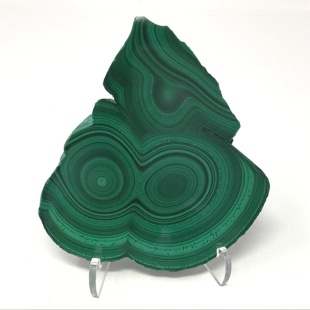 Malachite Bulls Eye Slice on Lucite Stand