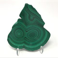 Malachite Bulls Eye Slice on Lucite Stand