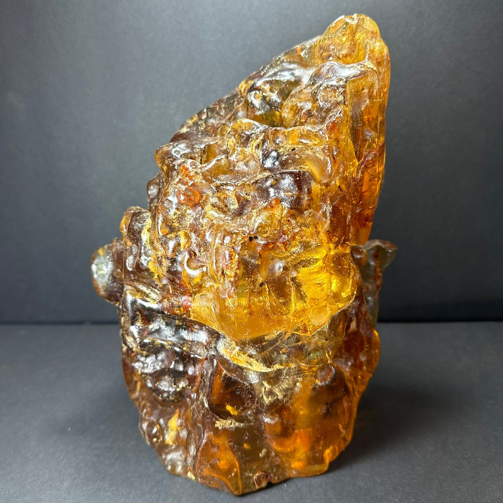 Amber Termite Hill