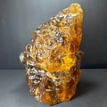 Amber Termite Hill