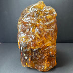 Amber Termite Hill