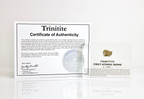 Trinitite (First Atomic Bomb)