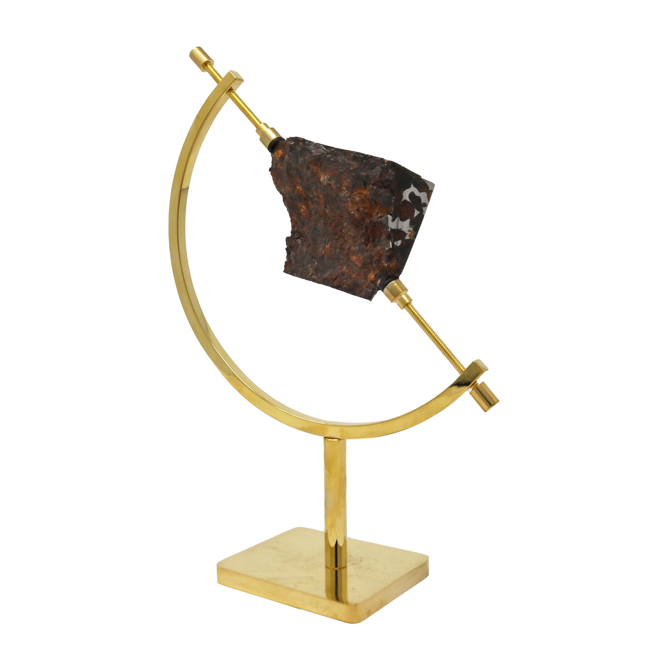 Seymchan Meteorite Edge Cut with Pallasite in Caliper Stand