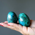 Chrysocolla Egg Blue Green Luxury Gemstone