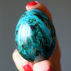Chrysocolla Egg Blue Green Luxury Gemstone