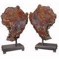Arizona Petrified Wood Large Wing Pair on Separate Custom Stands with Patina Finish