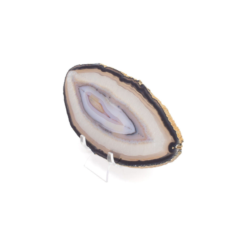 Agate Slice with Concentric Bands of Black, Tan, and Lavender on a Lucite Stand