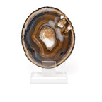 Agate Druze Slice Densely Banded Blues & Browns with Exterior Geode Inclusions on an Acrylic Stand