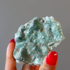 Fluorite Cluster Green Genius Crystal Cubes