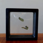 Moldavite Green Tektite My Mini Martian Alien Gem