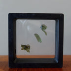 Moldavite Green Tektite My Mini Martian Alien Gem