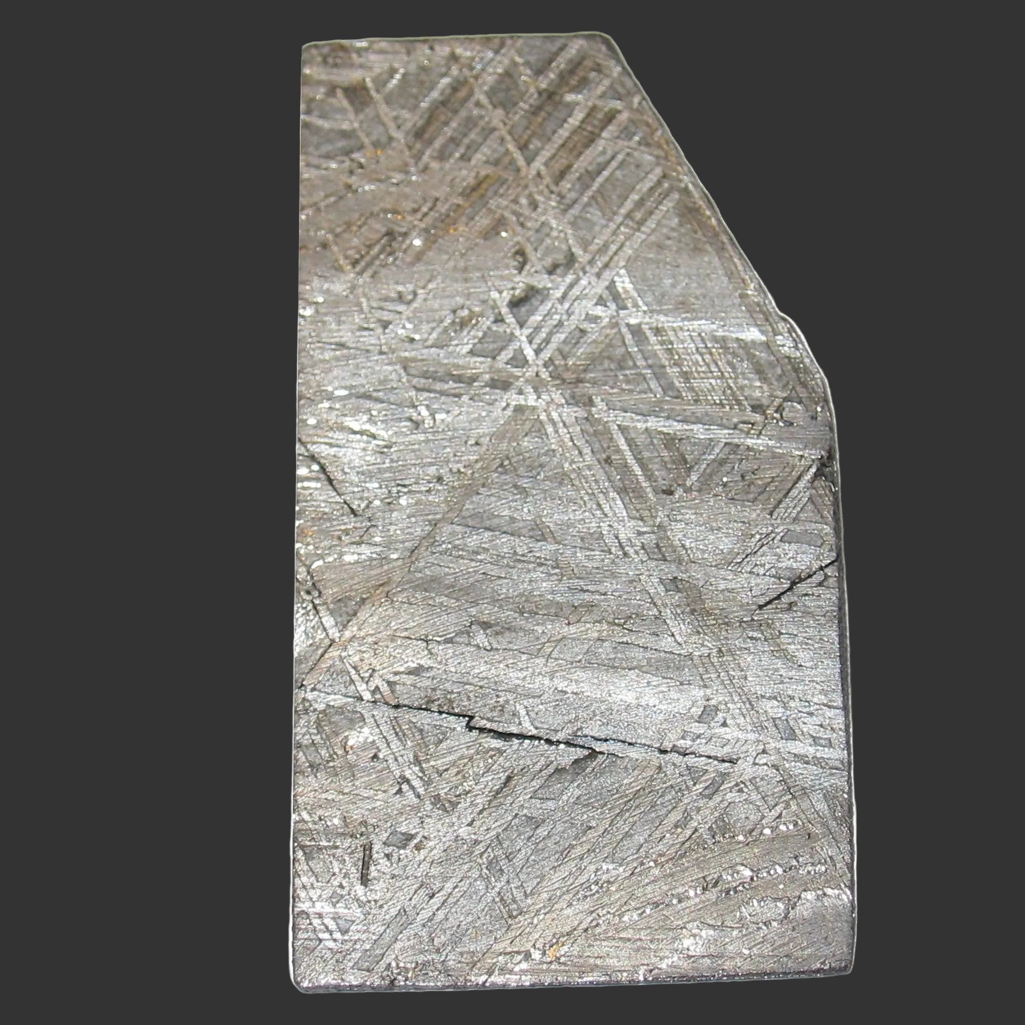 Muonionalusta Meteorite