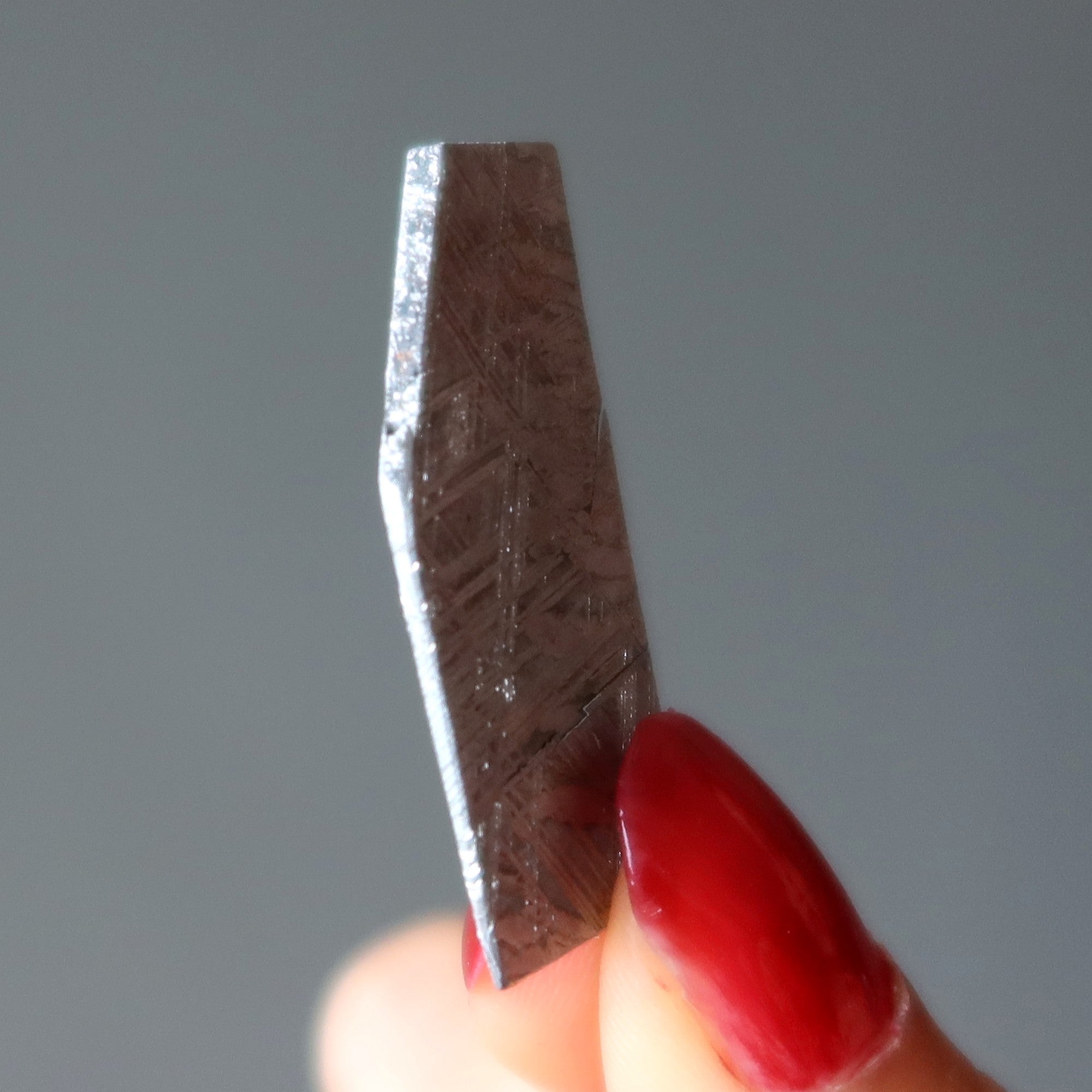 Muonionalusta Meteorite