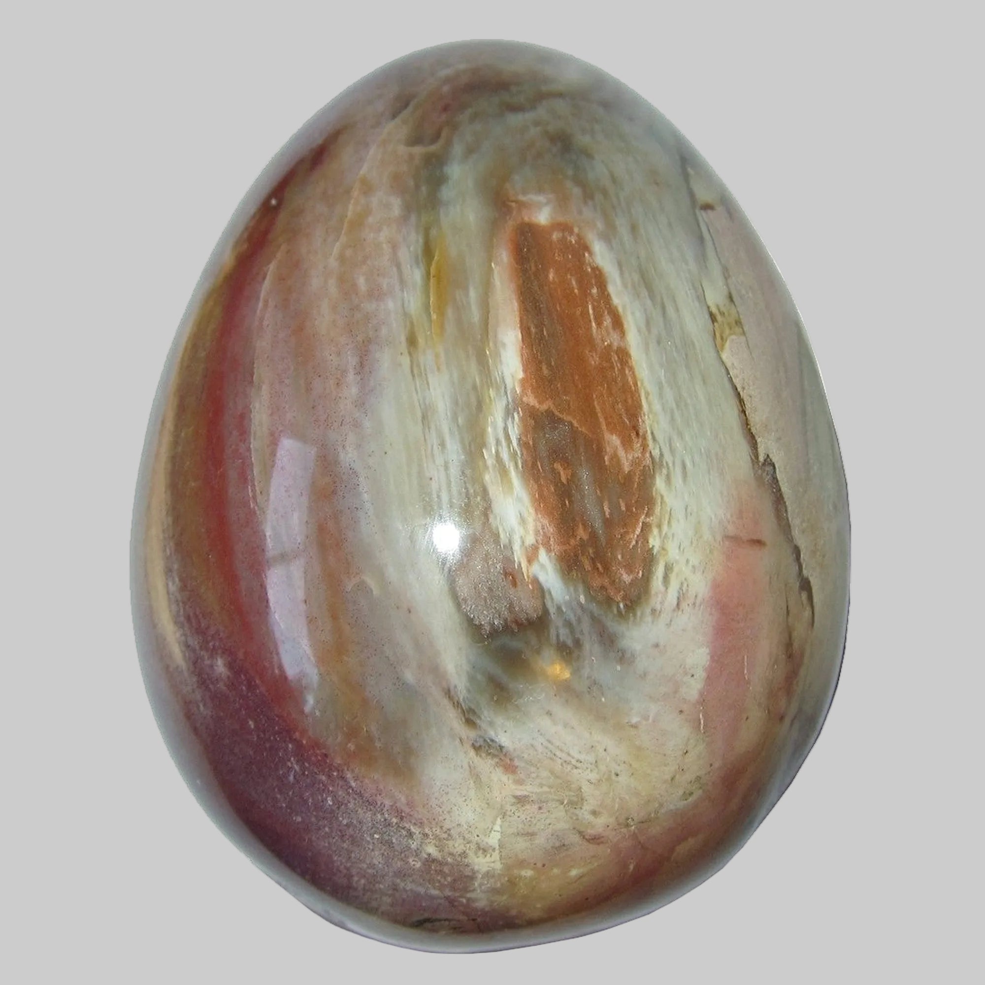 Petrified Wood Egg