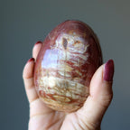 Petrified Wood Egg