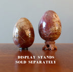 Petrified Wood Egg