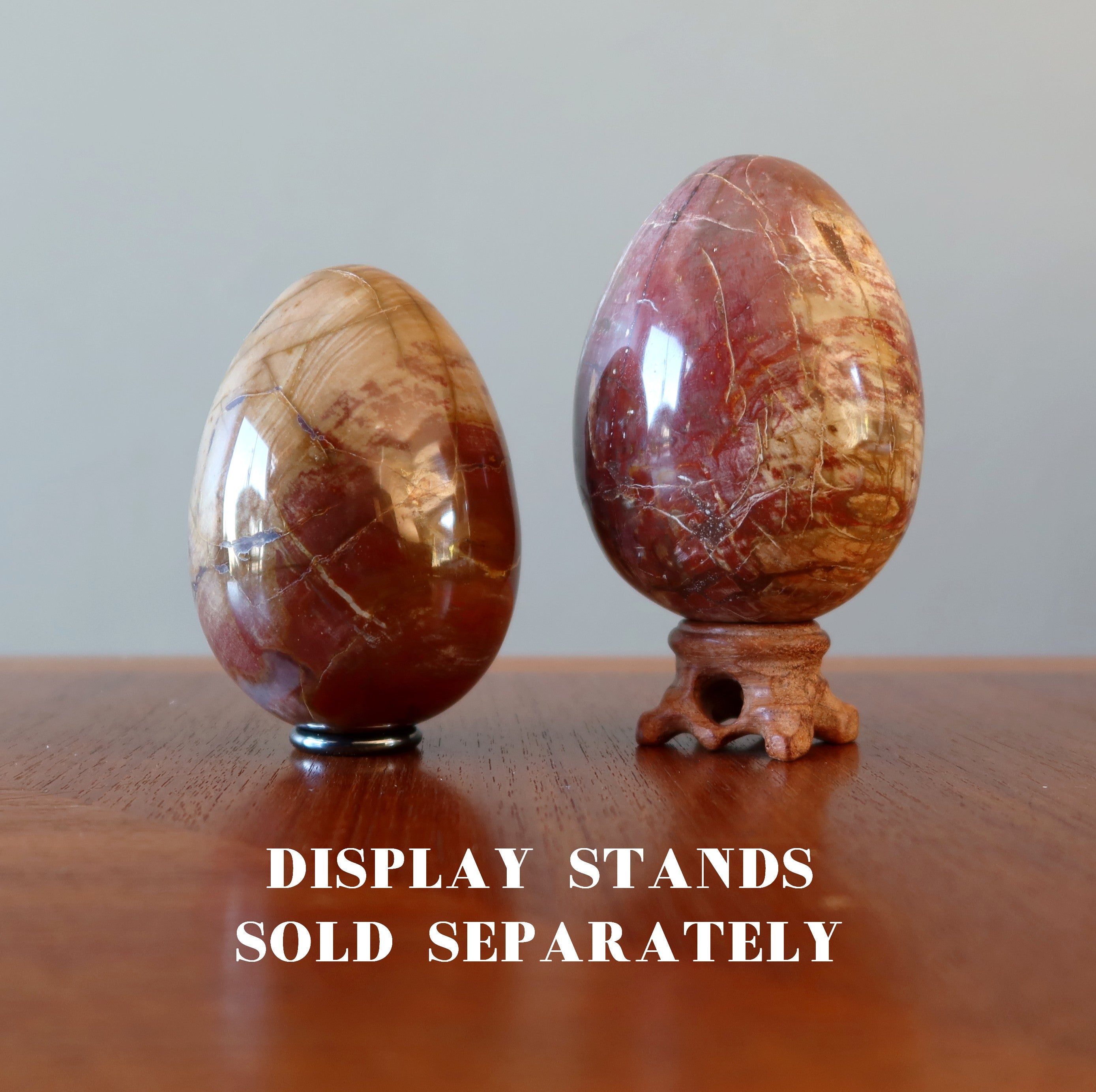 Petrified Wood Egg