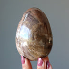 Petrified Wood Egg