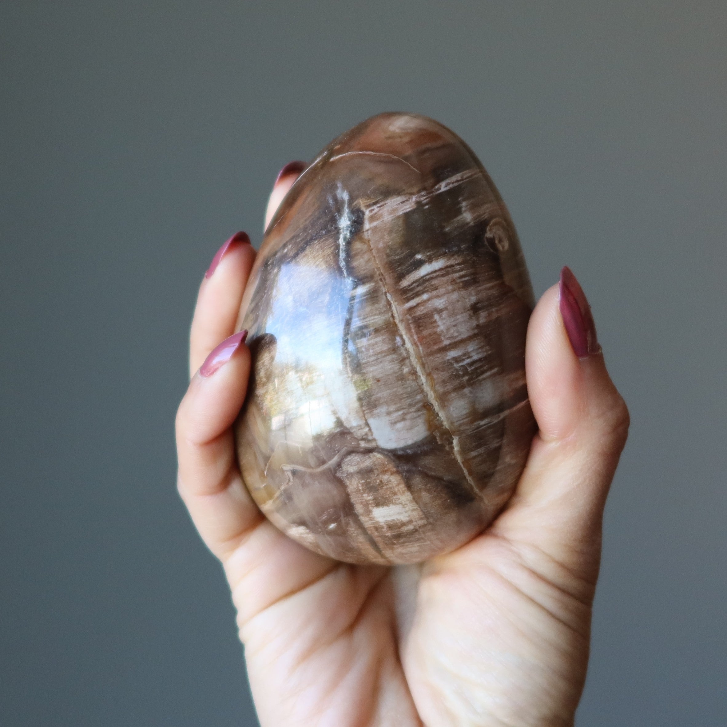 Petrified Wood Egg