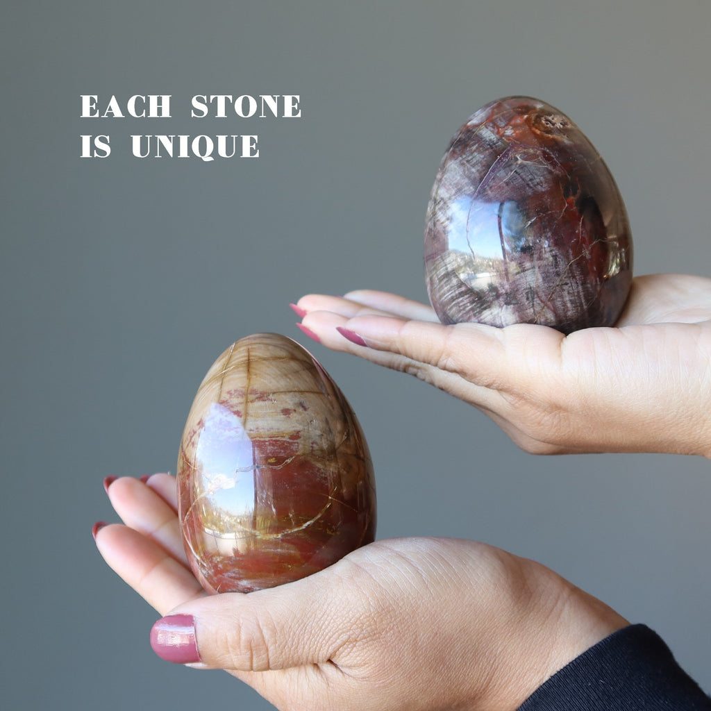 Petrified Wood Egg