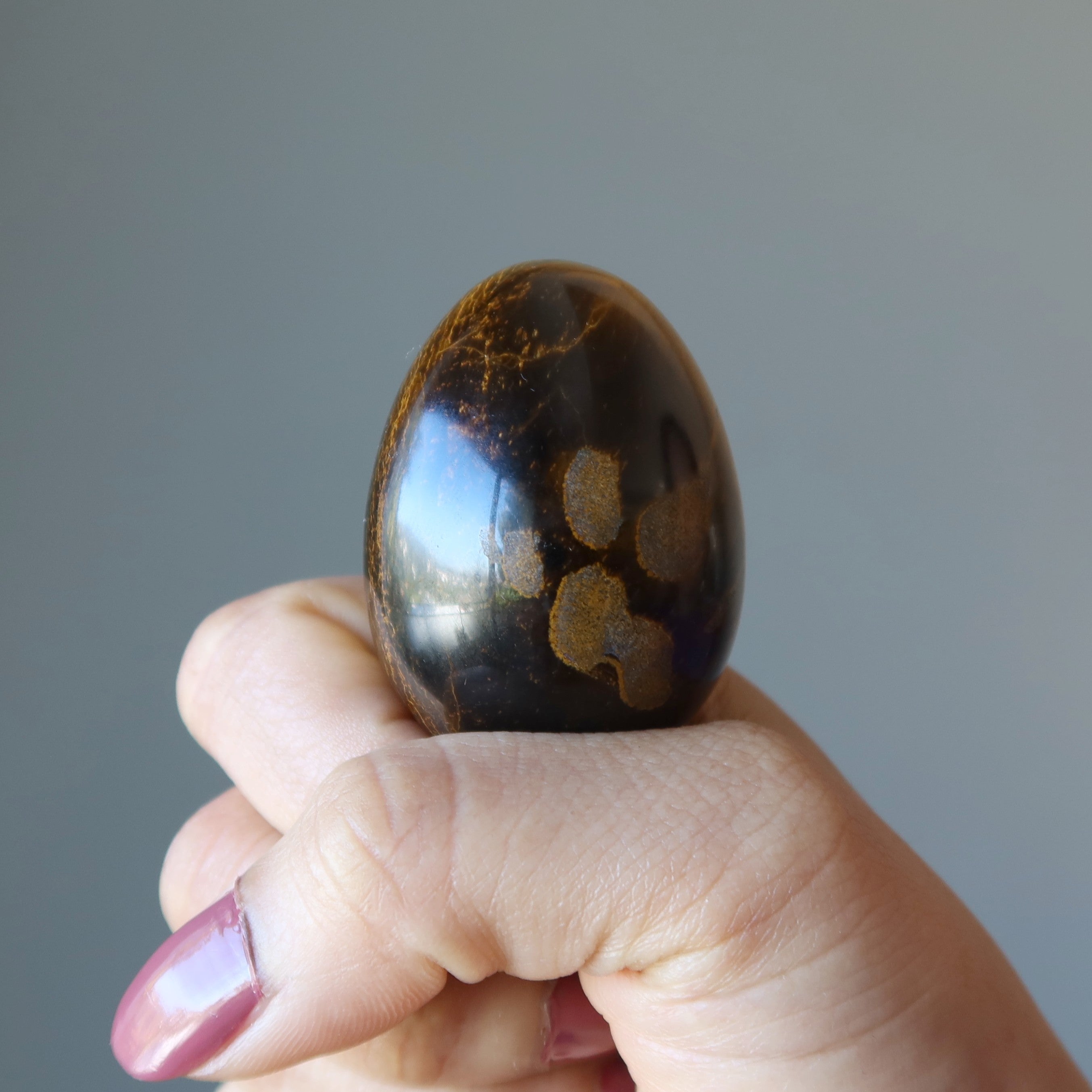 Tigers Eye Egg Nature's Miracle Confidence Crystal