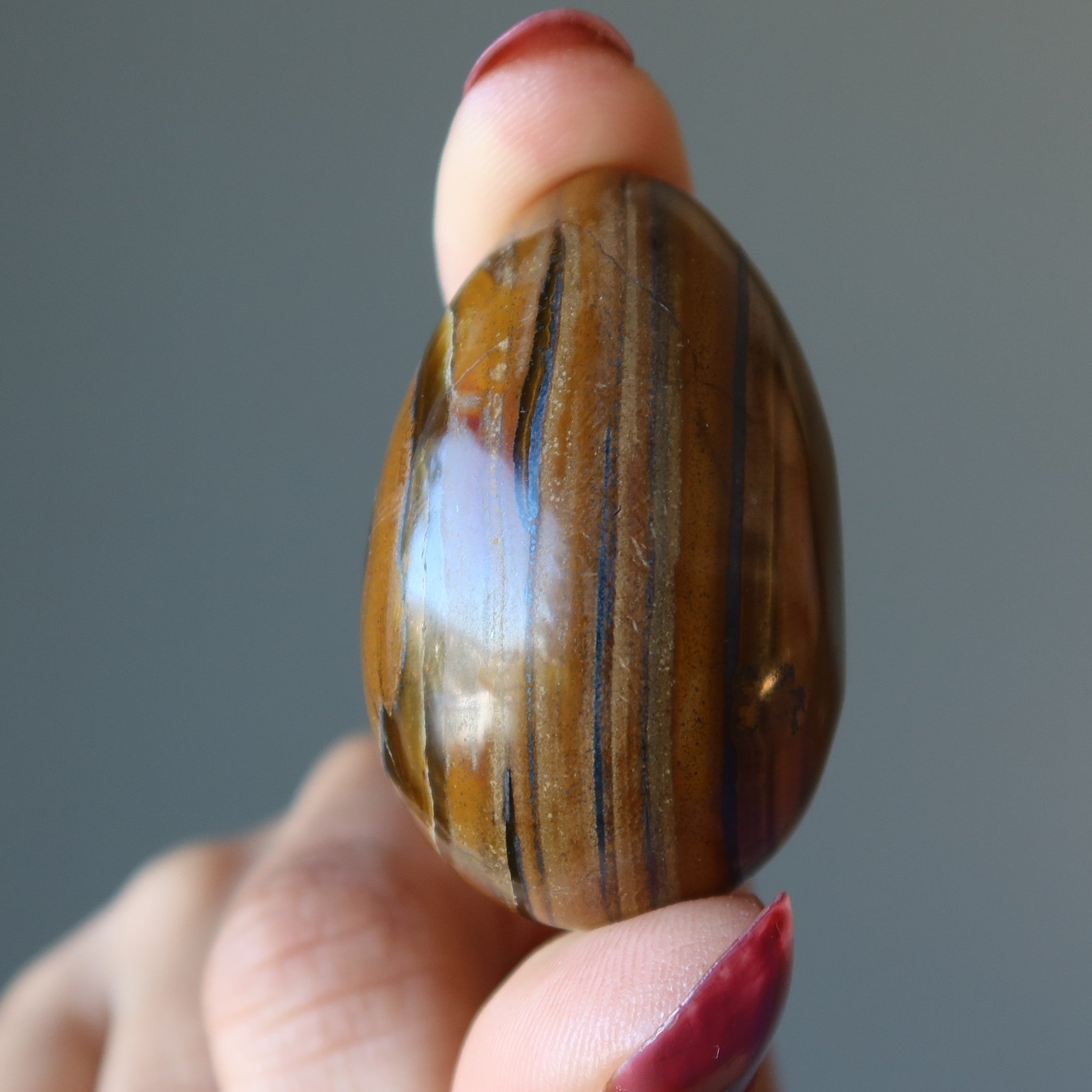 Tigers Eye Egg Hematite Iron Strong Power of Earth Crystal