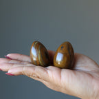 Tigers Eye Egg Hematite Iron Strong Power of Earth Crystal